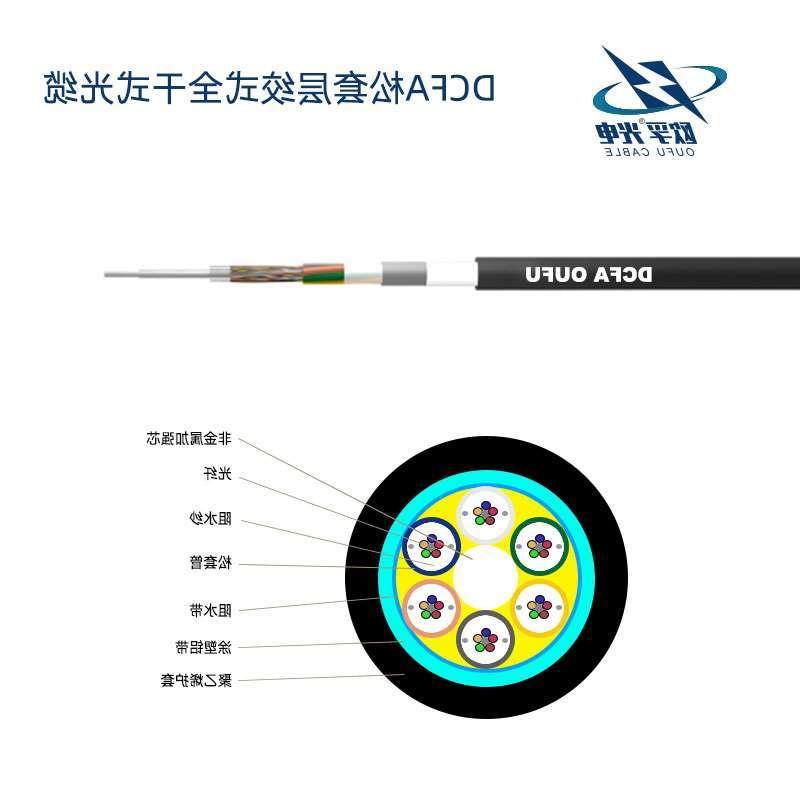 抚顺市DCFA光缆