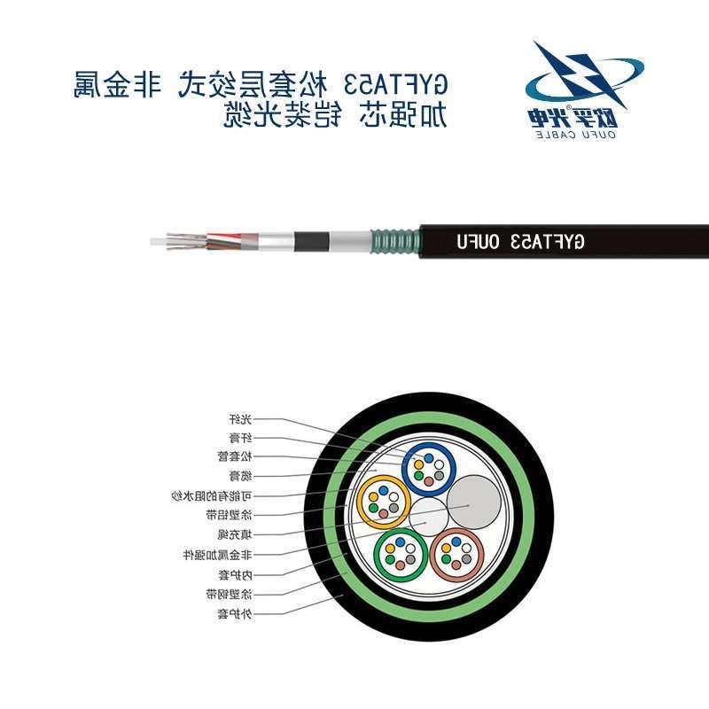 南通市GYFTA53光缆