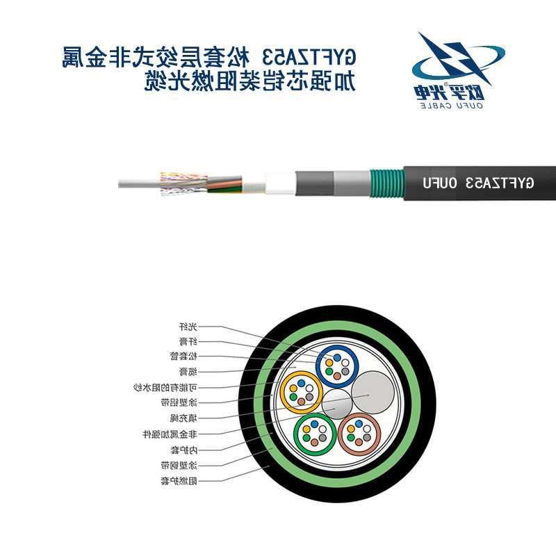 静安区GYFTZA53光缆